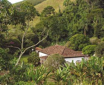 Um canteiro determina uma rotatória para veículos, compondo paisagismo com a fachada