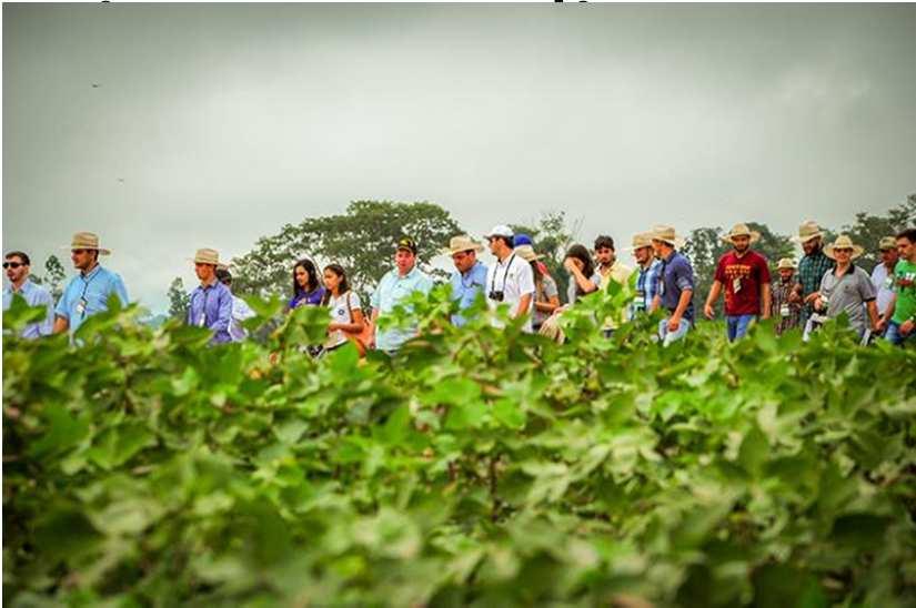 Diferença entre AT e ER a extensão rural é um processo educacional que visa transferir conhecimentos ou tecnologia para as famílias