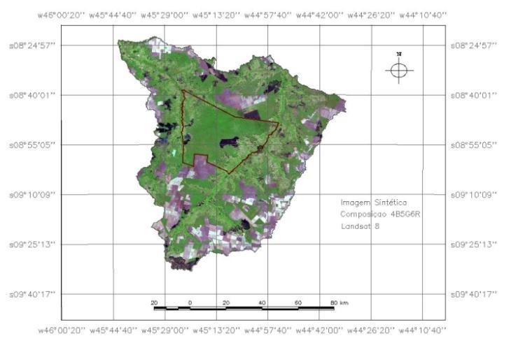 Figura 5: Classificação visual de queimadas e desmatamento nas bacias hidrográficas da ESECUUNA no final da