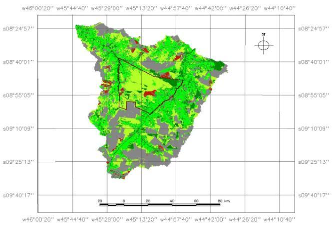 CLASSIFICAÇÃO AUTOMÁTICA As classificações automáticas para o ano de 2013 foram realizadas utilizando os