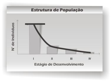 Fases do Manejo Comunitário de PFNMs: Fase Pré-Coleta iv) demarcação de parcelas nas zonas de ocorrência agregada das espécies seguindo o mesmo procedimento amostral apresentado anteriormente para