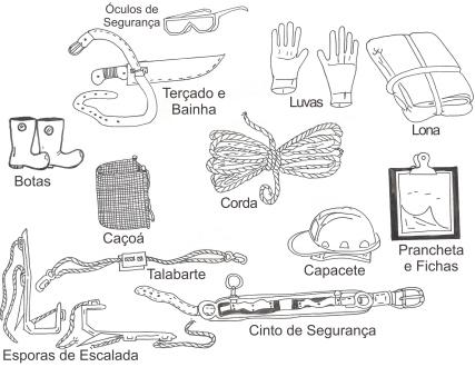 Fases do Manejo Comunitário de PFNMs: Fase de Coleta Um exemplo de kit que exige um maior investimento para sua aquisição, como os kits de escalada para coleta de frutos e sementes, que podem conter: