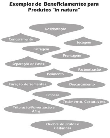 Manejo de Produtos Florestais Não Madeireiros FASE PÓS-COLETA I) Beneficiamento O beneficiamento é o conjunto de tratamentos dados à matéria-prima (PFNM bruto) até se chegar ao produto final.