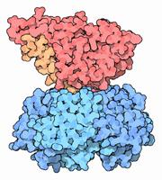 BD Estruturais PDB http://www.rcsb.