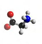 A prolina (Pro), por apresentar um grupo imino ao invés da amina, leva à redução da flexibilidade