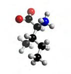 A composição desses aminoácidos é mostrada na figura.. Figura.