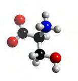 Átomos de carbono em preto, oxigênio em vermelho, nitrogênio em azul e hidrogênio em branco.