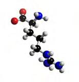 dois únicos aminoácidos cujas cadeias laterais se encontram carregadas
