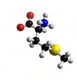 com/search Como mencionado anteriormente, neste trabalho foram estudados os aminoácidos com três grupos ionizáveis: Asp, Glu, Cys, Tyr, Arg, Lys e His.