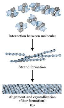 chemistry.wustl.edu/~edudev/labtutorials/ www.dnai.