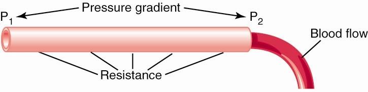 Condutância Condutância é a medida de fluxo sangüíneo através de um vaso por uma dada