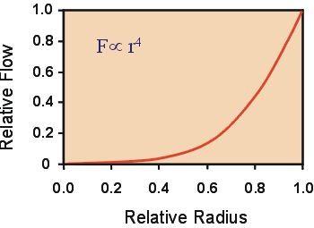 r4 Arteríolas: maiores determinantes