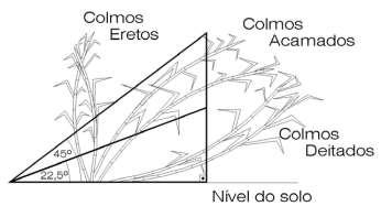 7 uma análise crítica que possa abrir novos caminhos tecnológicos de desenvolvimento de processos de colheita menos restritivos (MAGALHÃES & BRAUNBECK, 2010).