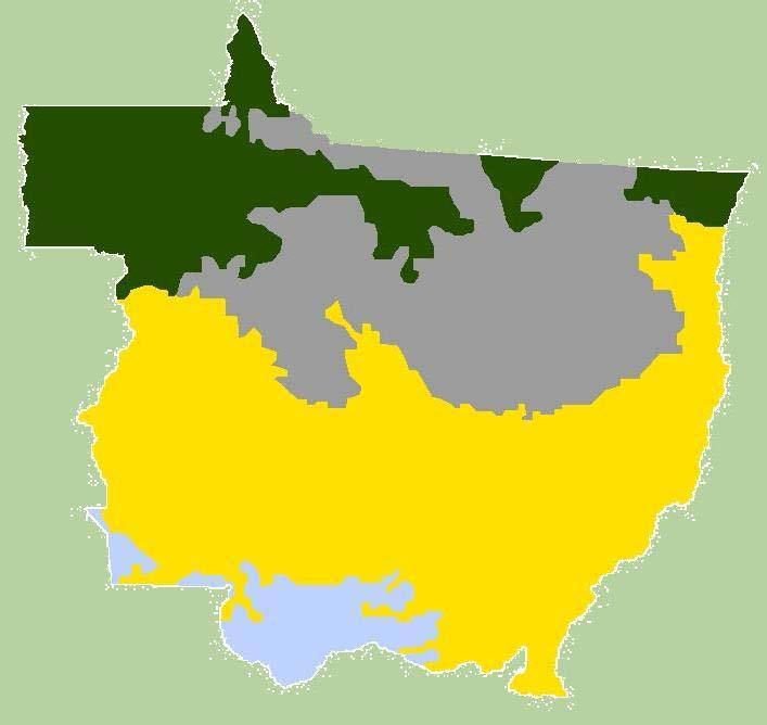 Mapa de cobertura vegetal FLORESTA 19%