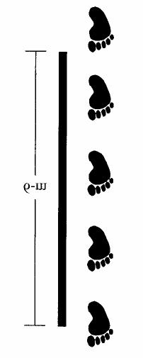 34 FIGURA 4: Salto unipedal cronometrado. Fonte: Ross et al. (20