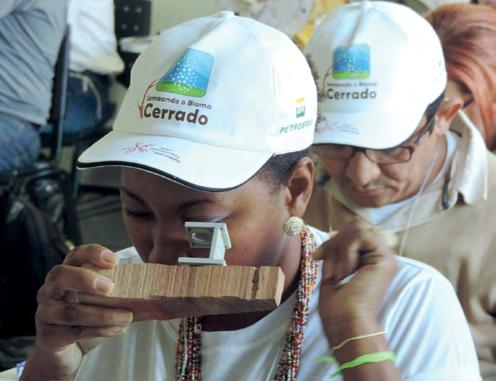 BIOMA CERRADO CENTRO OESTE Resultados A primeira etapa do Projeto foi concluída em dezembro de 2012 com 100% de cumprimento dos objetivos específicos.