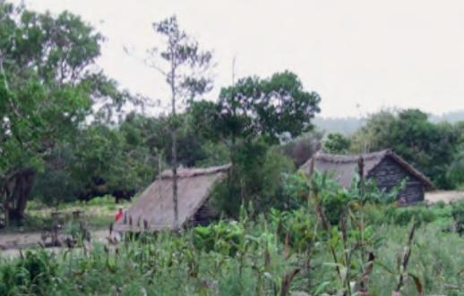br O projeto Ar, Água e Terra: Vida e Cultura Guarani, realizado pelo Instituto de Estudos Culturais e Ambientais - IECAM e pelos índios Guarani, com o patrocínio da Petrobras, desenvolve ações de