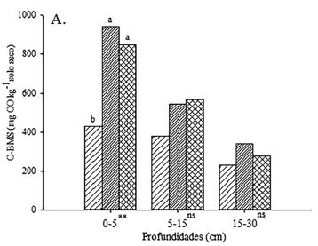 Os maiores teores de carbono da biomassa microbiana do solo (C-BMS), na Figura 2, foram encontrados na profundidade 0-5 cm, no Pupunha (942 mg C kg -1 solo) e na Floresta (848 mg C kg -1 solo)