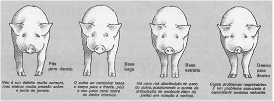 Aquisição de