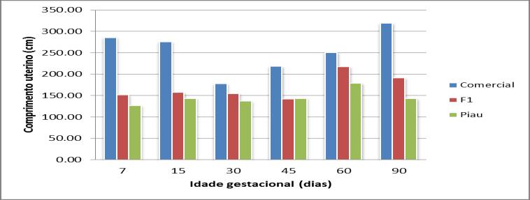 Gráfico 2: Comprimento uterino total em marrãs de Linhagem Comercial (Grupo 1) e raça Piau acasaladas com macho de Linhagem Comercial (Grupo 2) e raça Piau acasaladas com macho da raça Piau (Grupo 3).