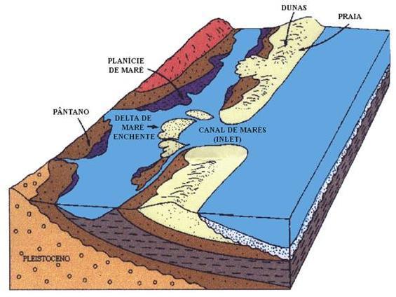 Horn et al. 49 estão associados às transgressões e regressões marinhas que ocorreram desde o Neocomiano (Cretáceo inferior) ao Quaternário.