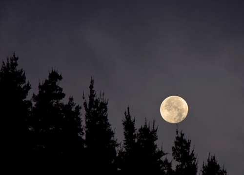 Movimento da Lua A Lua está a sempre visível