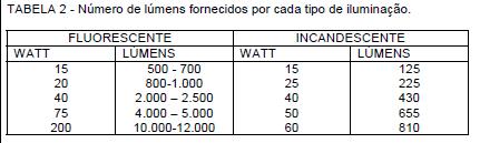 Detalhes na construção do galpão Sistema de Iluminação Artificial: Induzir a ingestão de