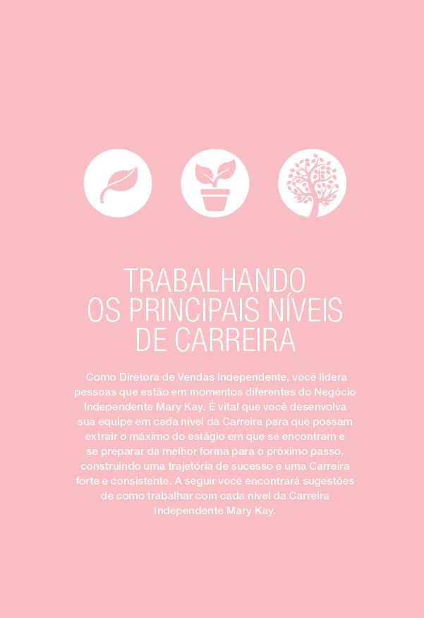 Momento Educação Como Diretora de Vendas Independente, você lidera pessoas que estão em momentos diferentes do Negócio Independente Mary Kay.