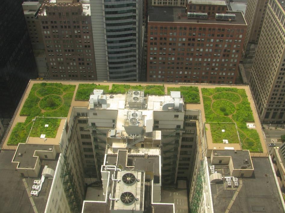 TELHADO VERDE Green Roof O telhado verde, também chamado de cobertura vegetal ou greenroof, é um sistema construtivo caracterizado por uma cobertura vegetal.
