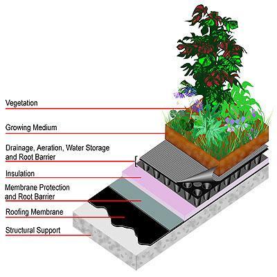 TELHADO VERDE CAMADAS Componentes Essenciais: Vegetação Substrato Camada de filtragem bidim Camada de drenagem: placa de retenção