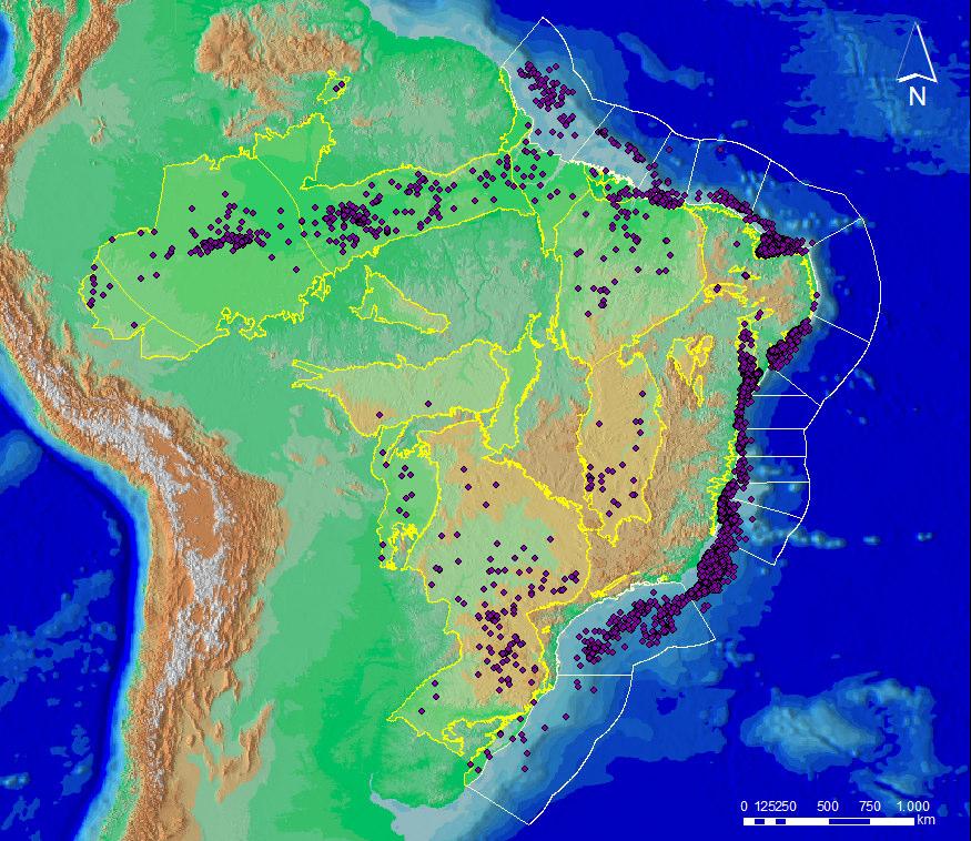 Bacias Sedimentares Brasileiras (III) 26.