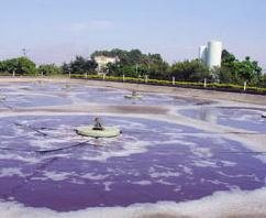 Nesse tipo de lagoa, o oxigênio é obtido através de aeradores.