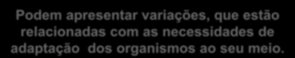 Conclusão de Darwin: as espécies não são imutáveis!