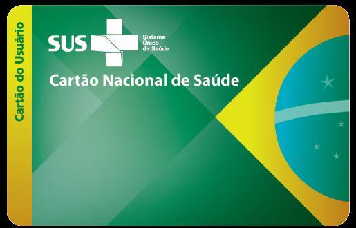 Como um sistema transitório, este não tem a pretensão de ser um sistema exaustivo em relação às necessidades de informação das equipes de AB, entretanto, organiza um conjunto essencial de informações