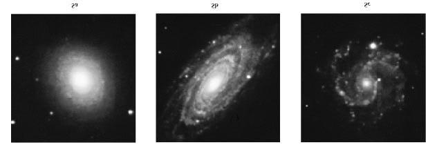 Observatórios Virtuais - Atividade: Galáxias Tipos e Classificação 3 Existem algumas galáxias que têm núcleo, disco e halo, mas não têm traços de estrutura espiral.