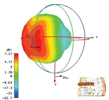 Anexo III - Diagramas de Radiação 3D: Antena na Proximidade do Corpo