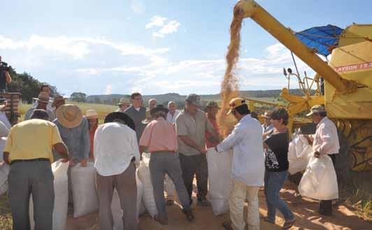 Os seguros da agricultura familiar O SEAF Custeio garante 100% do valor financiado pelo PRONAF no custeio agrícola, mais uma parcela de renda calculada à base de 65% da receita líquida esperada,