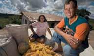 EXPEDIENTE CARTILHA DE ACESSO AO PRONAF Coordenação João Augusto Pérsico (Uamsf) CARTILHA DE ACESSO AO PRONAF Saiba como obter crédito para a agricultura familiar 2011/2012 SEBRAE Serviço Brasileiro