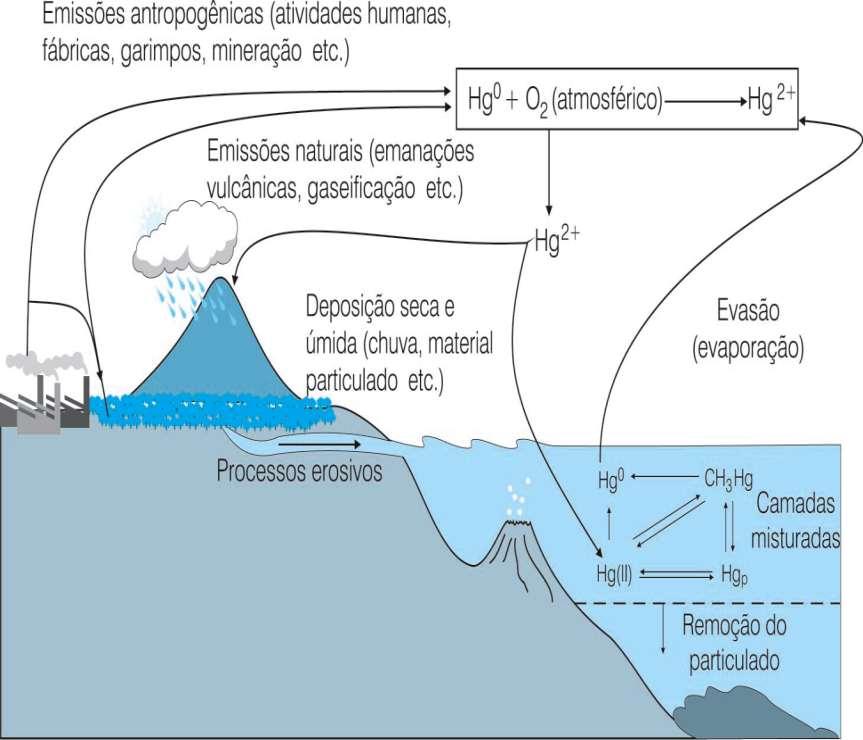 O ciclo global do mercúrio Fonte: Souza, J. R.; Barbosa, A. C.