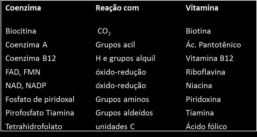 Coenzimas moléculas biológicas que participam do ciclo catalítico