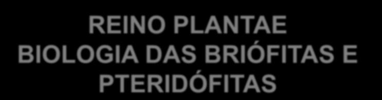 BRIÓFITAS E