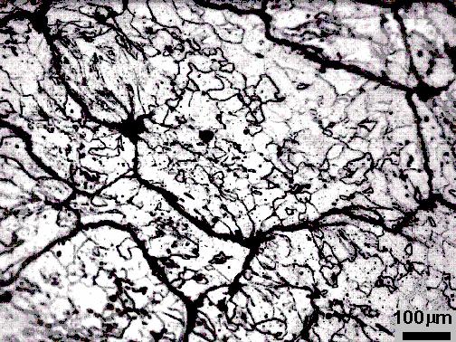 Figura 13: Microscopia óptica de compactado (recozido) de Somaloy TM 550. A amostra sofreu ataque químico com Nital 5%, revelando-se contornos de grão.