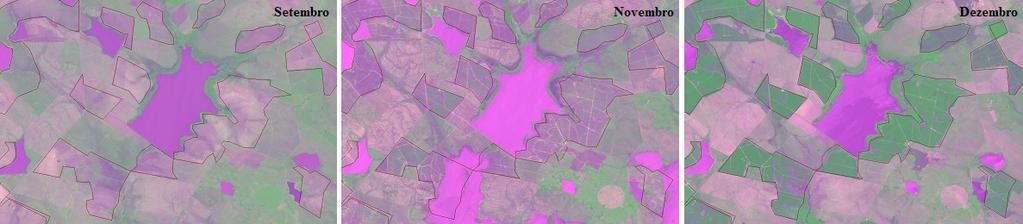 Dentre os períodos analisados, as imagens de dezembro e janeiro foram as que melhor distinguiram a cultura do arroz dos demais alvos, em função do elevado vigor vegetativo neste estádio.