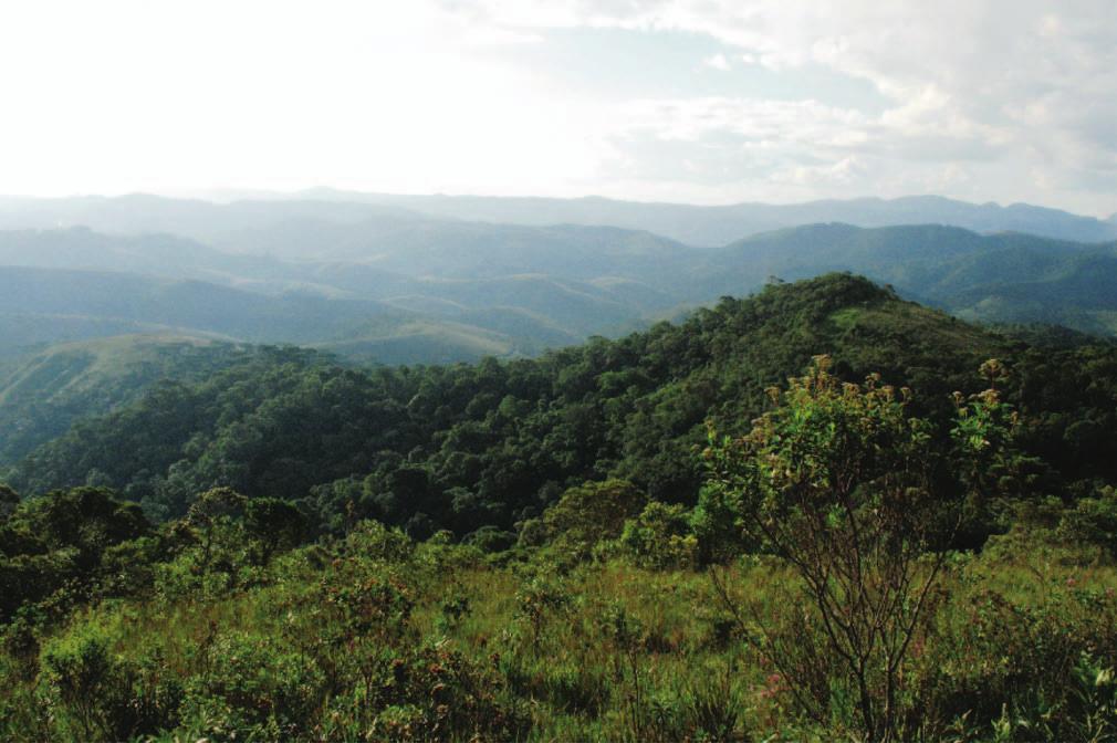 a) mosaico de Campos de Altitude e Floresta Ombrófila Densa; b) mosaico de Floresta de Araucária e Campos de Altitude. a b c d Figure 3.