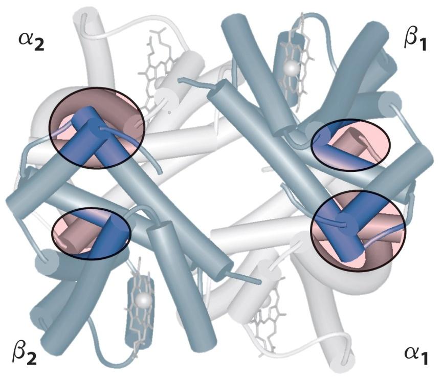 Quaternária 2 unidades α e 2