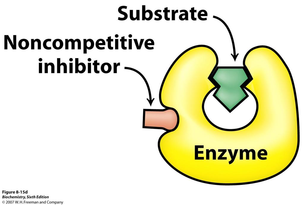 Inibição Não-Competitiva Inibidor liga-se a enzima