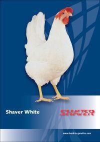 SHAVER WHITE Branca e com ovos brancos, Produção ovos/ave aloj. 80 sem.= 355, Pico de produção= 96%, Peso médio final 80 sem.