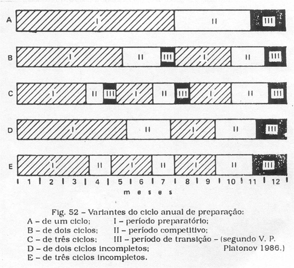 ESTTRUTURA