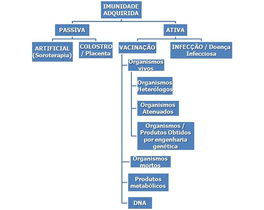 FORMAS DE AQUISIÇÃO DE