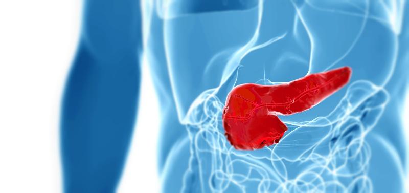 Estudos estão sendo desenvolvidos no intuito de consolidar o transplante de células-tronco no tratamento do diabetes tipo 1. A proposta é que, por meio deles, haja um reset imunológico.